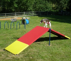 Dog-On-It - A-Frame