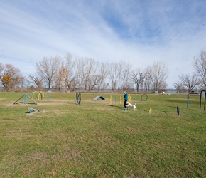 Play4Pups Course by Burke